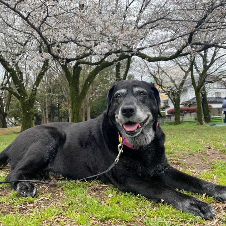 61506818 6733 4cc3 87ba 410518186f41 1712236487913