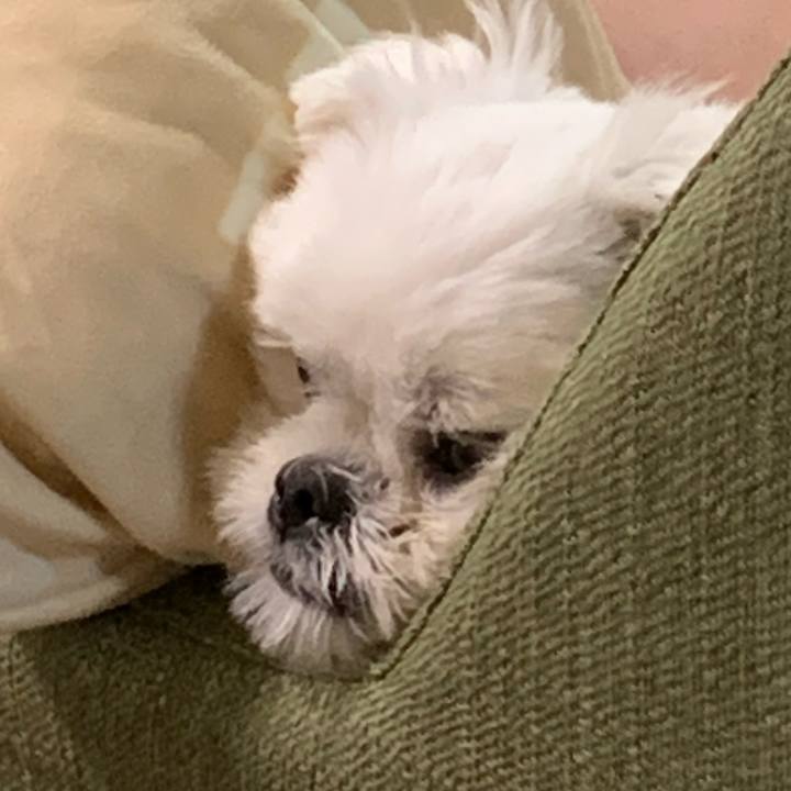 61508d00 429e 4af5 841d 5149c7a3704f 1661859423497