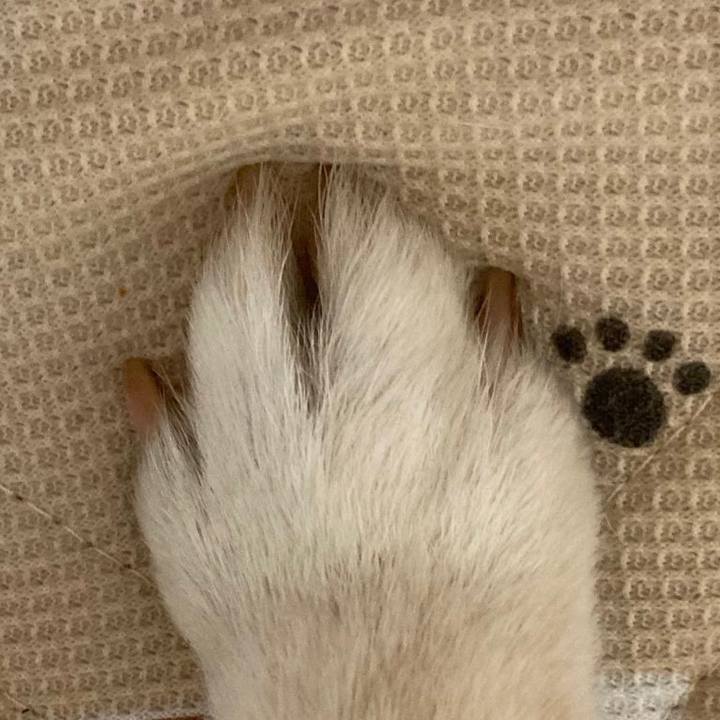 6150a11e 23a5 4656 b811 f9dc02b954ec 1620643809526