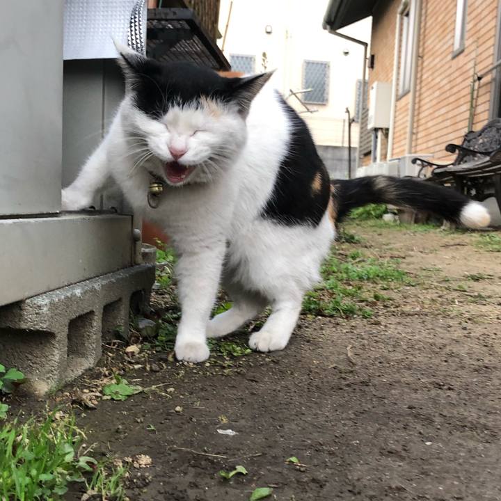 6150c831 bfa9 4125 9e3b f950a7dd4213 1615501307331