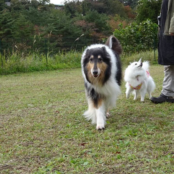 6150d8ed 5bd8 4463 9de4 c3beca8ad378 1572747342103