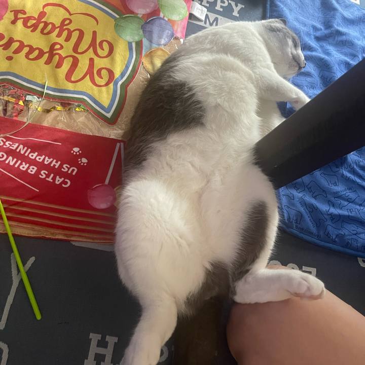 6150e317 366a 4584 b992 11012965914e 1692313385484