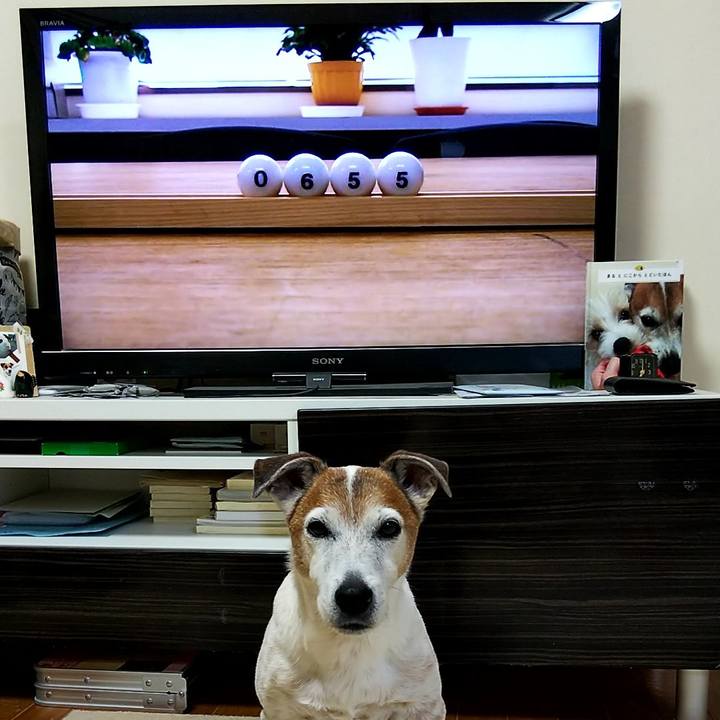 6150fe4b 4437 40eb b60e de2049d5a0fc 1553725579020