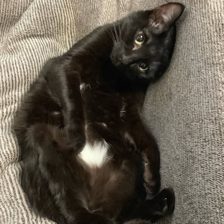 61512c93 0add 4813 94c5 f3e936503547 1643433359869