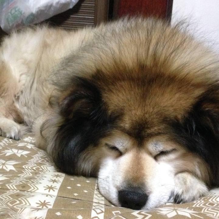 61513141 191c 4342 a891 25604b429775 1610458136493