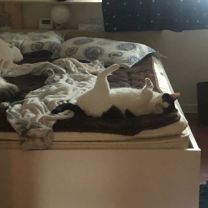 615160e5 2788 4ec6 baa6 95a252350484 1538036687418