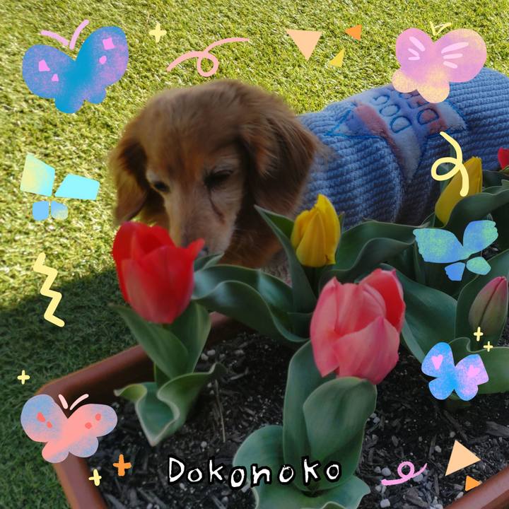 61519613 0b84 4faf 9b8a f7637b545e62 1711521040486