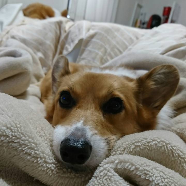 6151a39a bc95 42e7 b05a 62694f28d76c 1538270747578