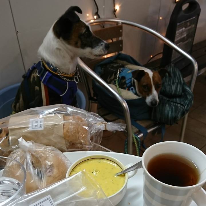 6151d451 6f3a 4730 b128 08ad6e1e9135 1611296300601