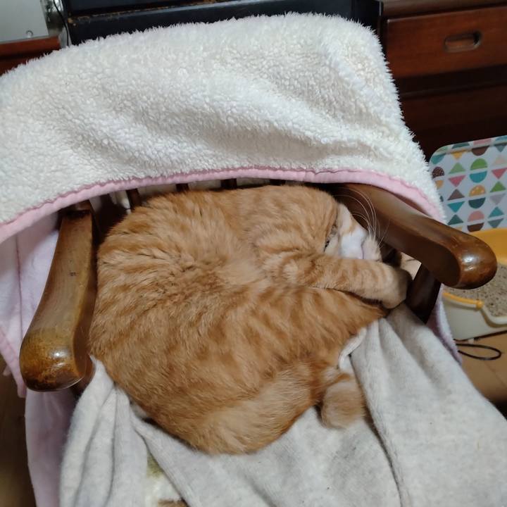 6151e8c7 bdfa 487d af40 7e7a28c8e1c1 1665382479578