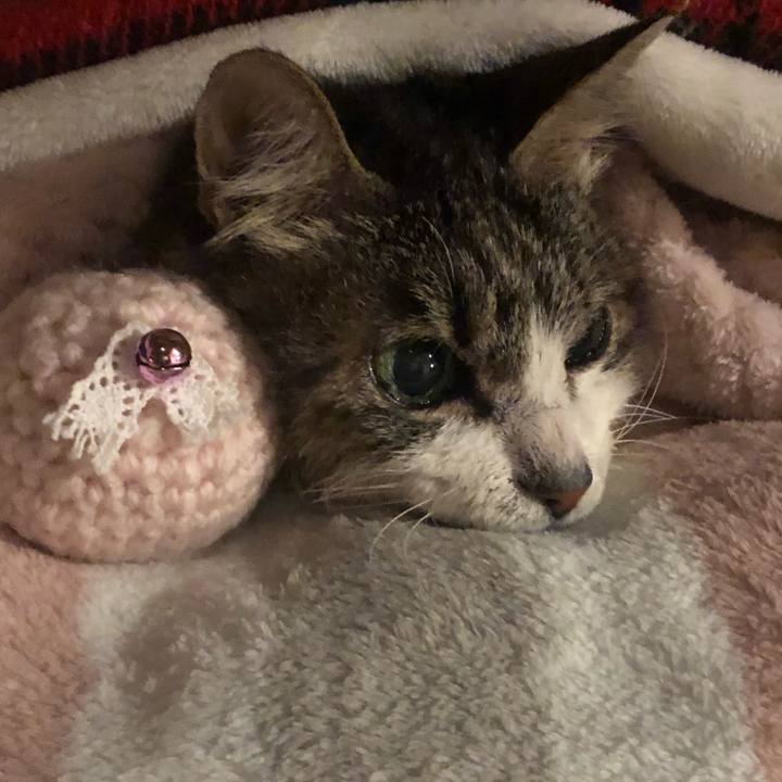 615264be 1e5e 40c0 b281 d7a698620cf6 1586606954533