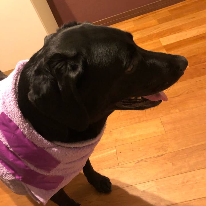 6152d876 6c0a 47c5 a25f 51094bfa32d8 1631196770657