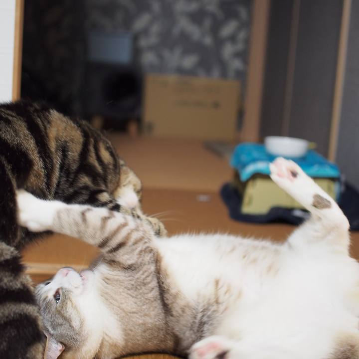 6152edb7 73ba 4922 8acb 84d3e1b9a05c 1590489690820