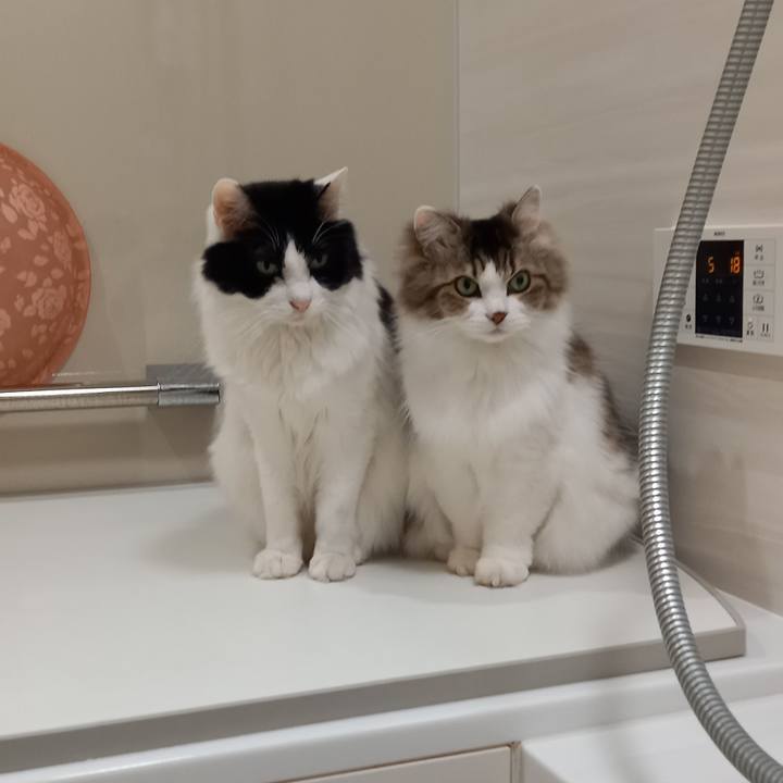 61530a11 8133 417e b9b0 6d2c34ca6262 1674163587162