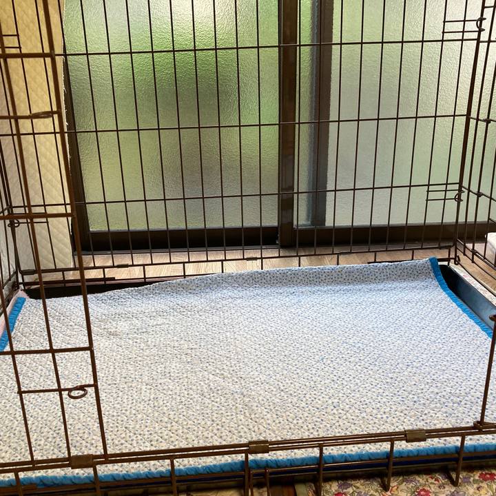 615330c6 1d68 420e bf21 73f938089d3d 1622543356700