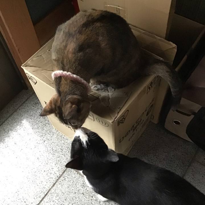 61533ebf 0895 4a28 83c5 1c71838cb72f 1690458191376