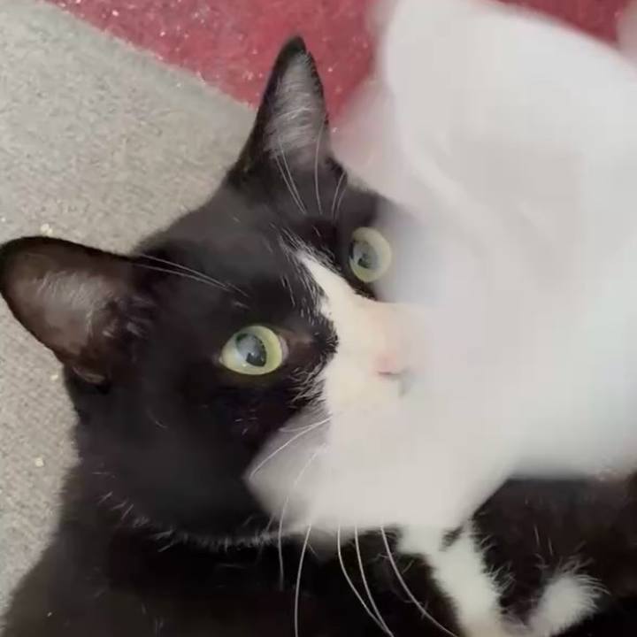 6153e23d faeb 4baf a03d 159c99052e30 1760321349135