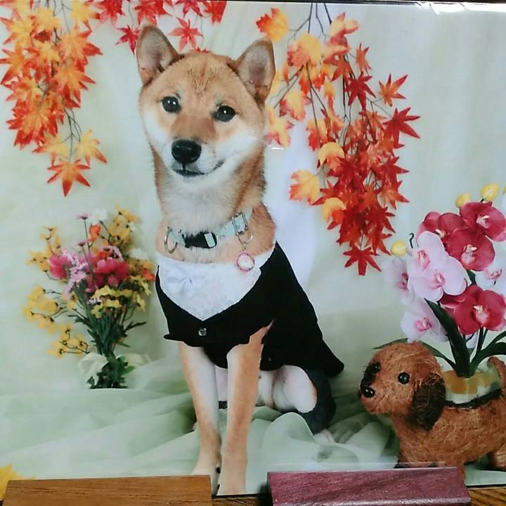 61542c59 08ec 4ad3 bb3d b765e9509f39 1542693678093