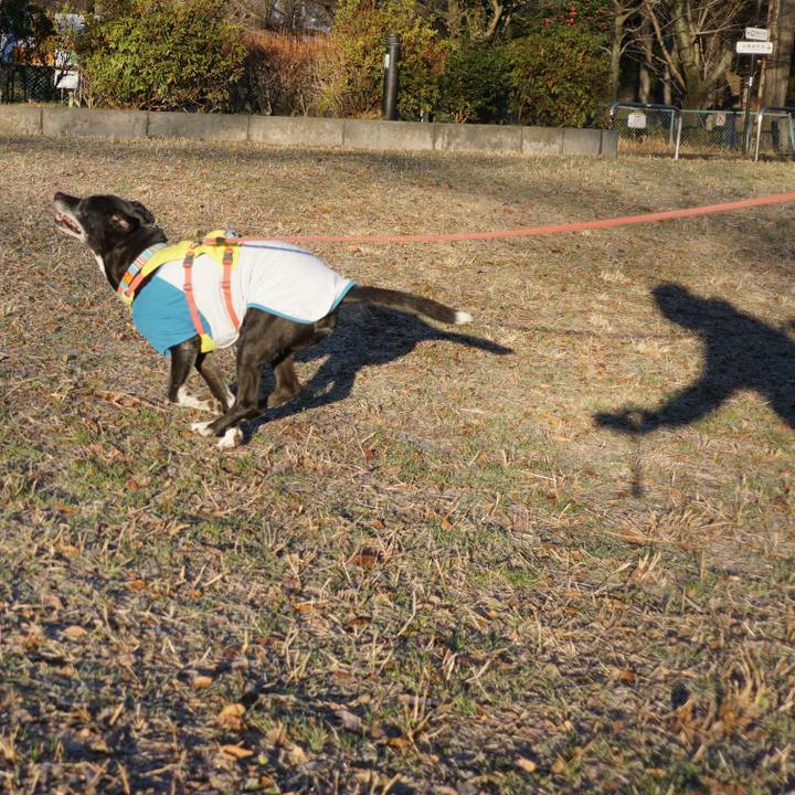 615437ca b3f9 4747 972f 1e4b37a9c0e0 1769214241598