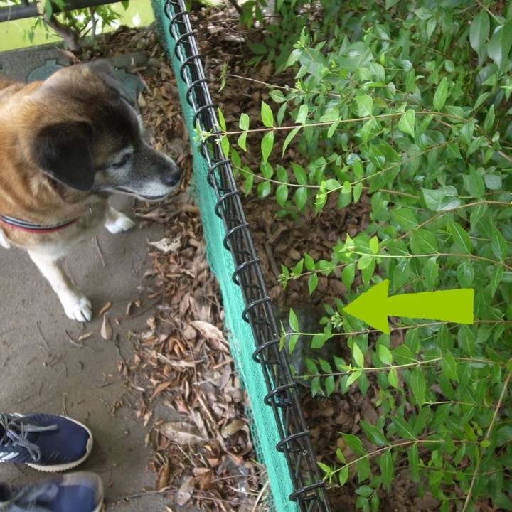 61545da3 fc8f 4dd0 84fd 0f920bafc70a 1609893799205