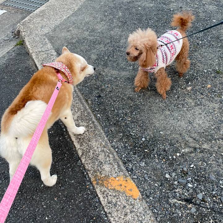 61547cb5 f581 4d7b 8c2e e12257341cc3 1645774735067