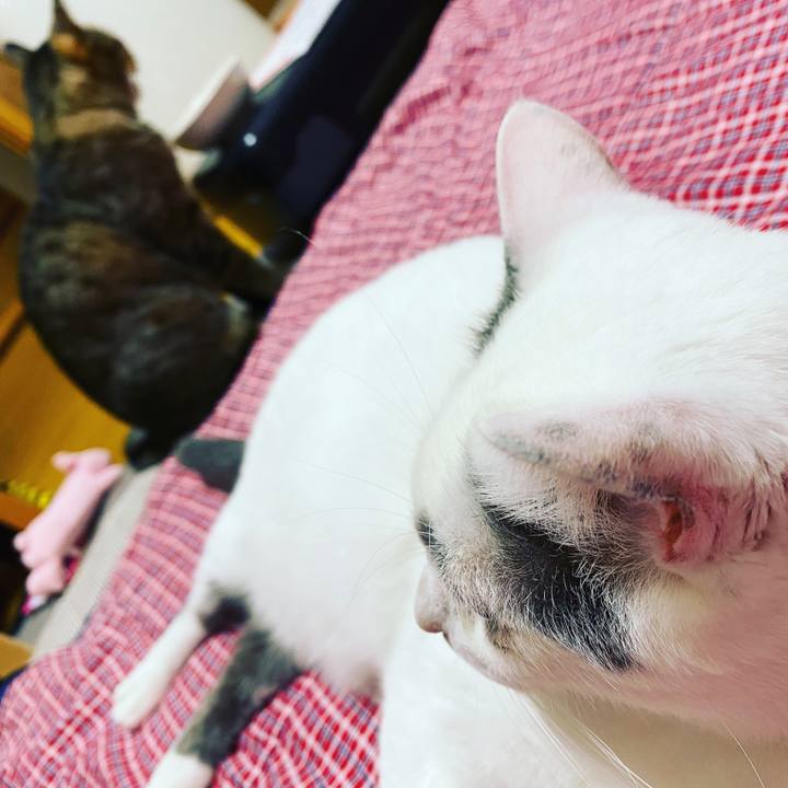 6154de6d 7d42 4f07 b818 40690f4d9fc5 1632260161177