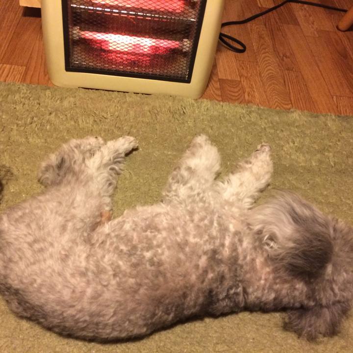 61550dfe 4db8 49e5 900a 93caa63238d2 1511079356993