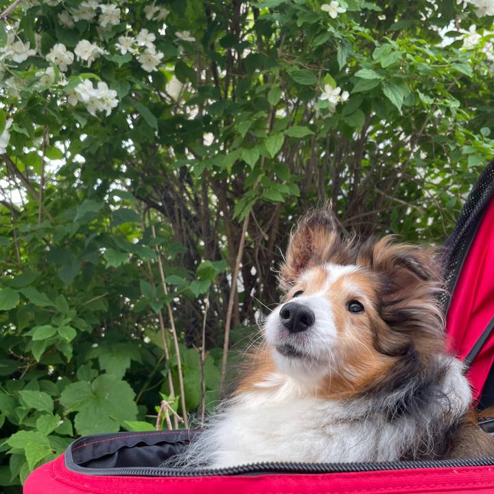 615514c1 0a1d 4559 a374 80270577d96d 1625044407884