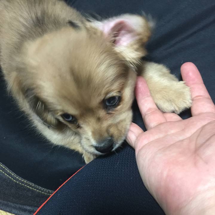 6155296f 8115 4c79 bce3 a65efa974230 1539642516371