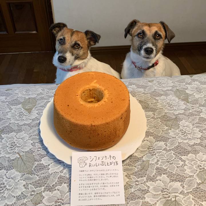 6155474c 1d6e 411b b31e c628e7762c1f 1610199770428