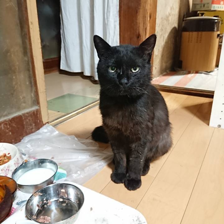 61556f31 e635 486b a8d6 771b6585101e 1624276398089