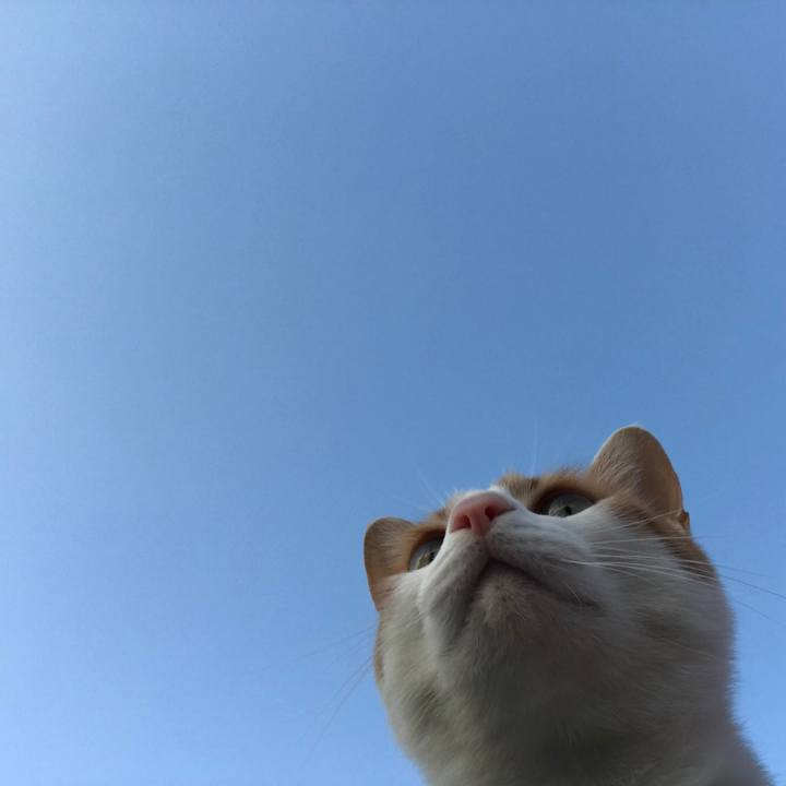 6155794a 7abb 49ac b56b 16937a24f608 1520150285232