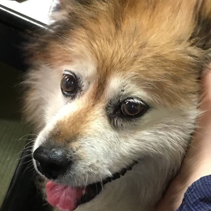 6155aec6 4d9a 4e7c b34d 7e1bad651a56 1603296925844