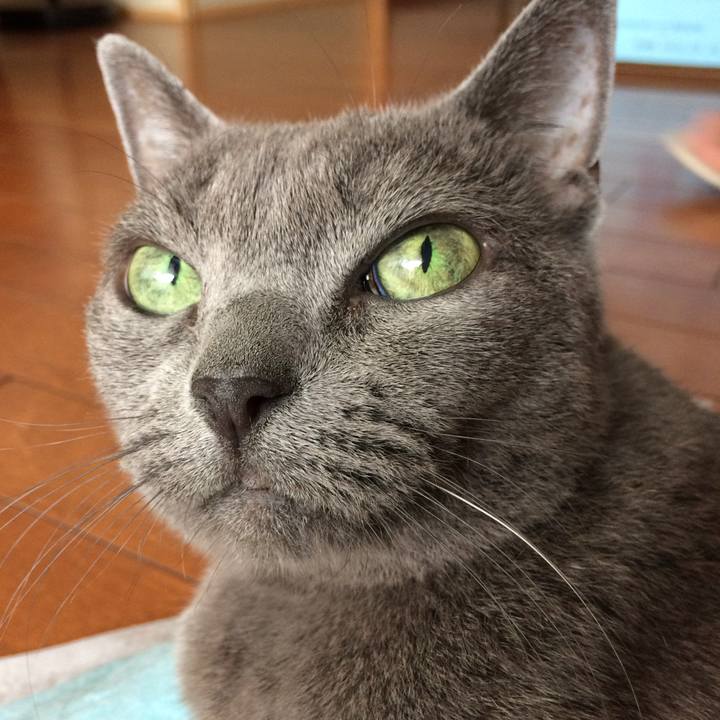 6155e56c ed26 4ea6 83bd 3b58ac4179b2 1537760364481