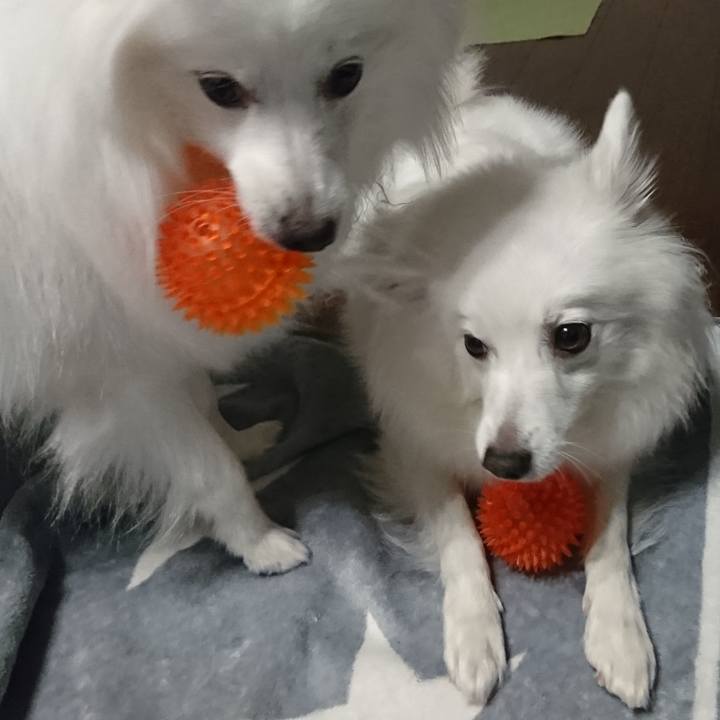 6156093b 2c91 4966 924c 7c838852ec86 1579754527705