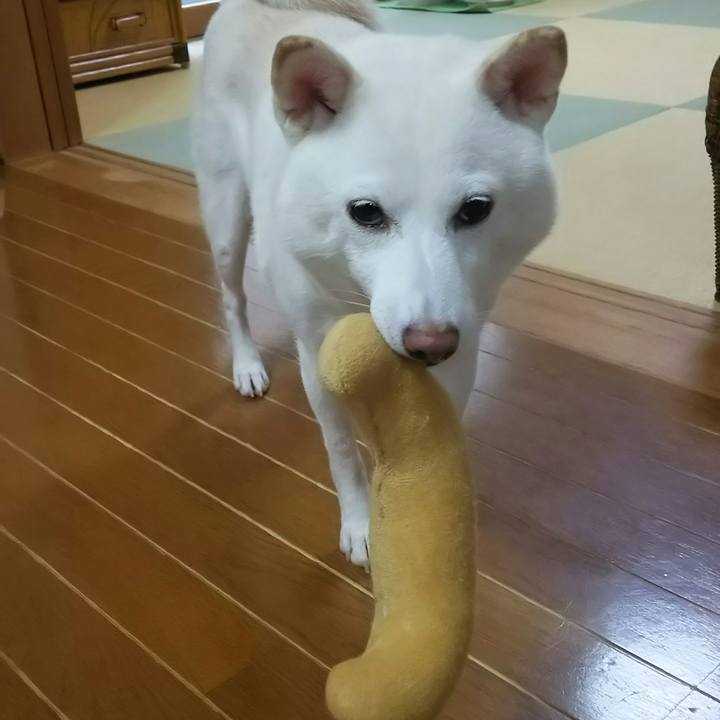 61560bc6 d2d9 49c8 87cb 92cf59773371 1536463912810