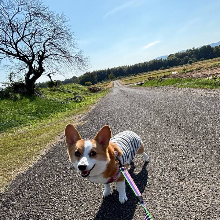 61561cb2 8596 46da 9011 cefbc3ab1e35 1762583185196