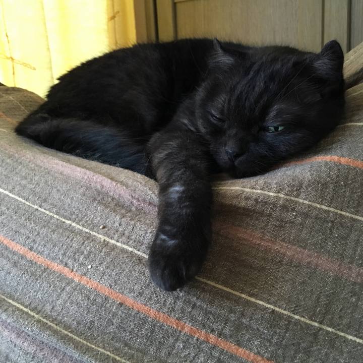 61562d65 5d2d 432d b53b 828b4bc8df94 1533881944722