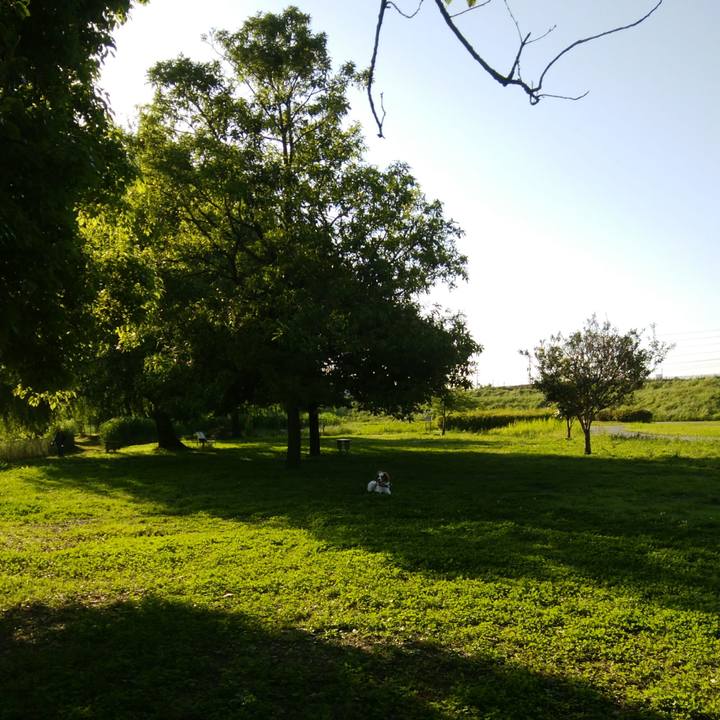 615654a9 2951 46c7 8f0d d2c9ea675e2c 1527161941125