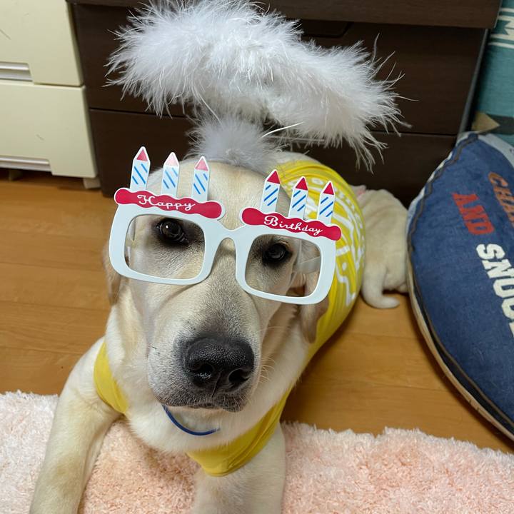 615665d1 88e2 475a a36c a2ec6e408cd3 1626691891892