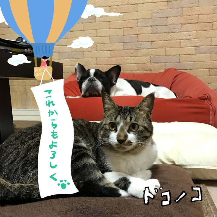 61566842 38c2 4fd3 8a4a bdac0eaafa86 1685956877324