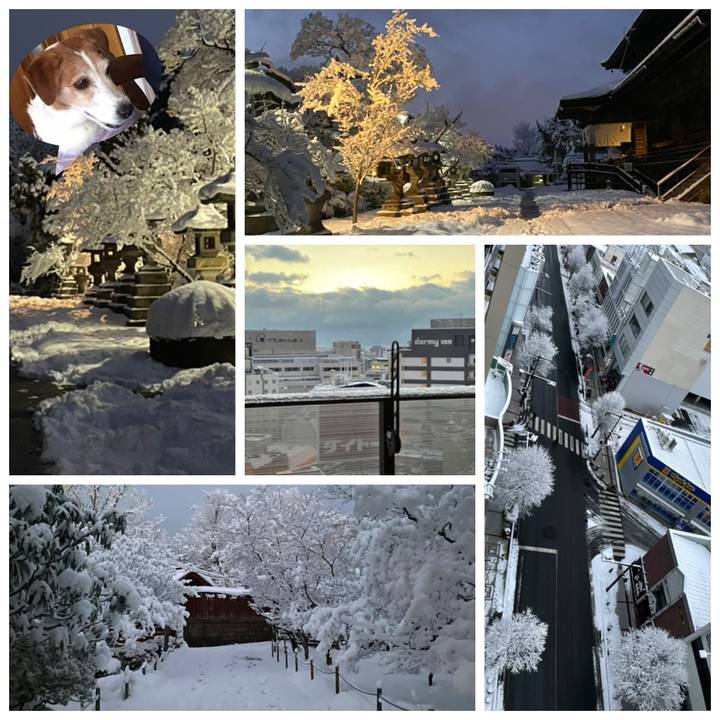 61569afc 54ef 4e5a abdf 08f1c46d1664 1643767838090