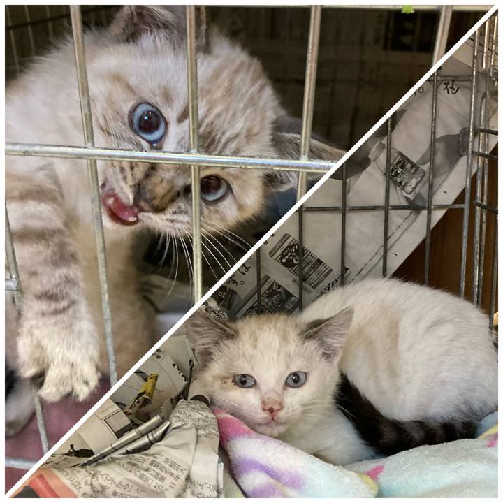 6156a03c d164 4a40 8701 f4b881461804 1641465757637