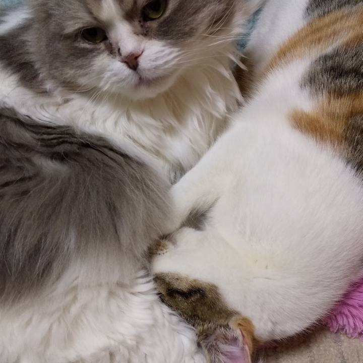 6156a576 a902 41b3 8dde 6338cf4c3a9a 1647009112685