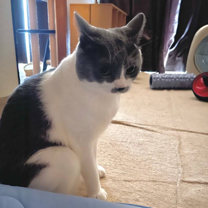 6156a5a4 ee2a 4f2c bac5 7ca39cf3b705 1659908316593