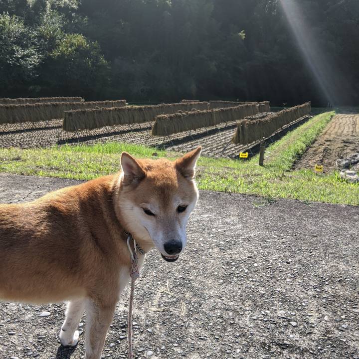 6156caad ea0b 40d8 ae19 782a08af6e72 1600935175966