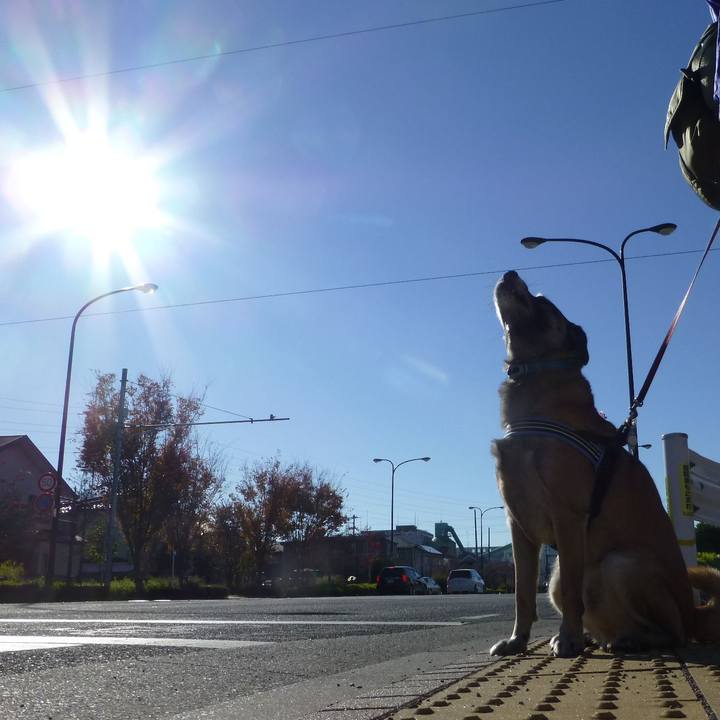 6156ed9a d452 4430 9b68 ca955ef77351 1579219822175