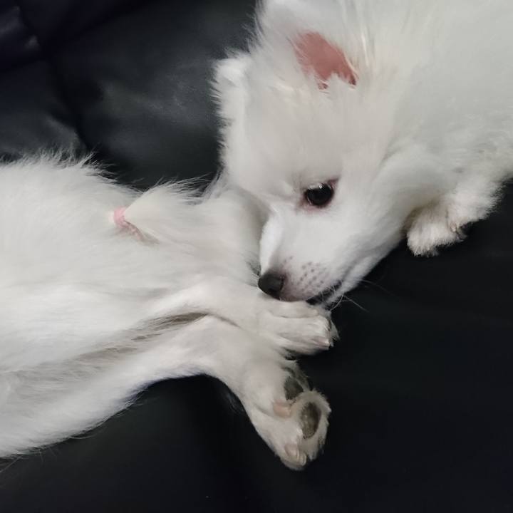 6156ffd2 4bd3 412b 9e7a adbd44e0c5a0 1546953740649