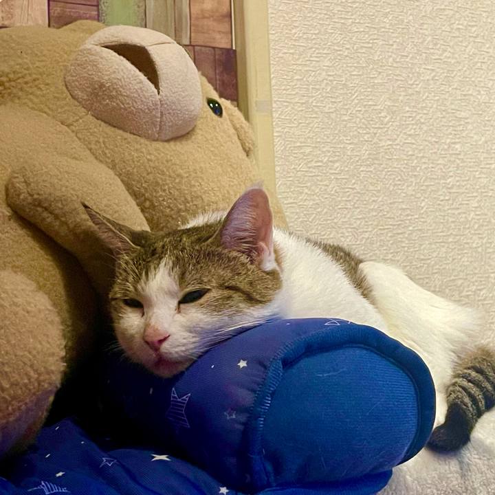 61572788 6133 42a2 9c4d 5887cbec353d 1628425073354