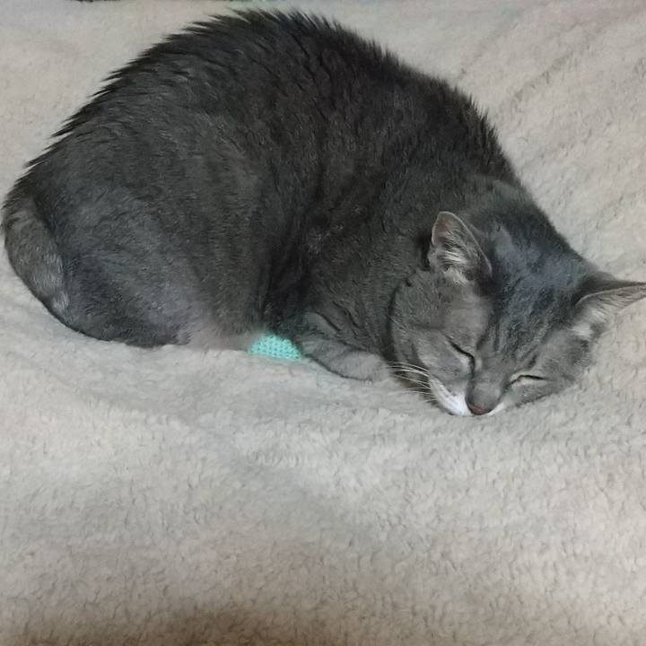 61573a10 2e8e 4129 8f19 bc36ee8cfc61 1641670217776